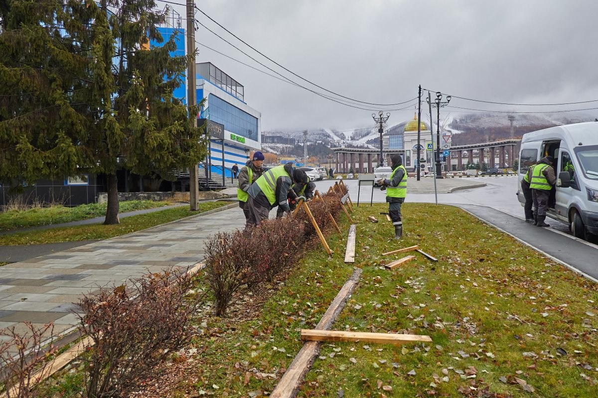 Южно-Сахалинск готовится к весне: кустарники уже укрыли и высадили 80 000 луковиц тюльпанов Южно-Сахалинск готовится к весне: кустарники уже укрыли и высадили 80 000 луковиц тюльпанов