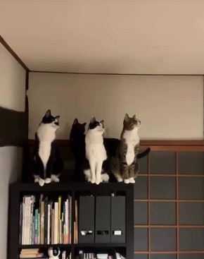 Доброе утро. Сегодня Международный день логопеда