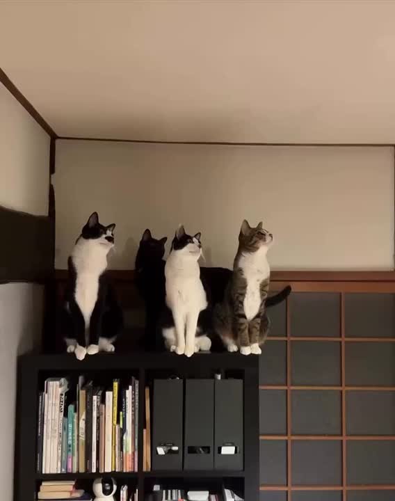 Доброе утро. Сегодня Международный день логопеда