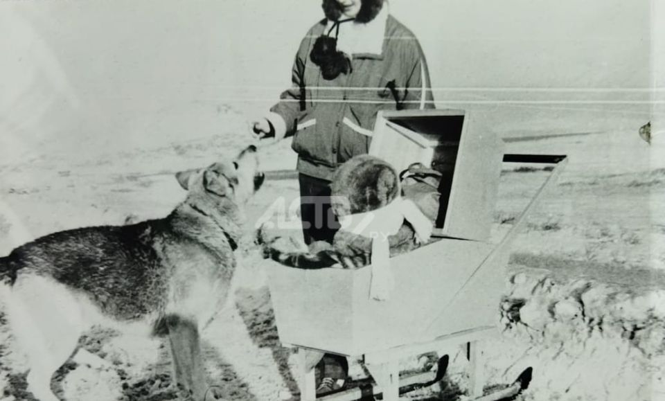 ����� ������ ������� ����� ����� �� �������: ��� ������ ����� "�����"?