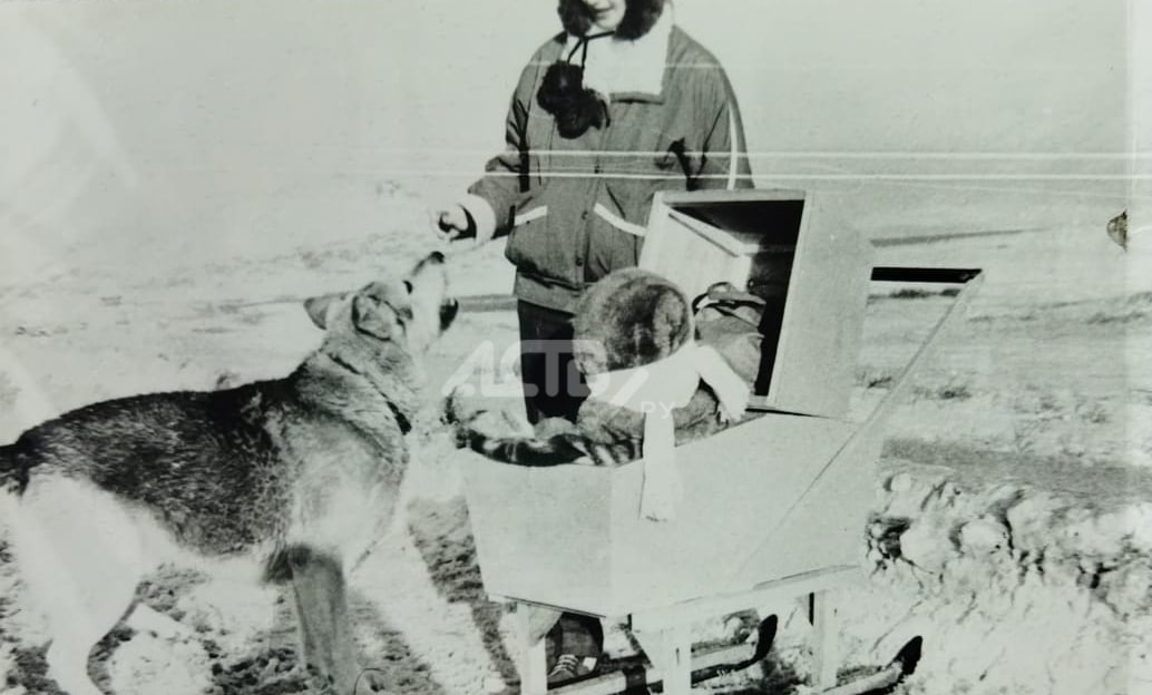 Очень старые детские санки нашли на Курилах: кто помнит такие "танки"?