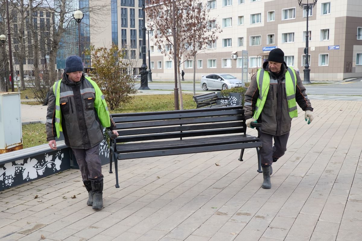 Южно-Сахалинск готовится к весне: кустарники уже укрыли и высадили 80 000 луковиц тюльпанов Южно-Сахалинск готовится к весне: кустарники уже укрыли и высадили 80 000 луковиц тюльпанов