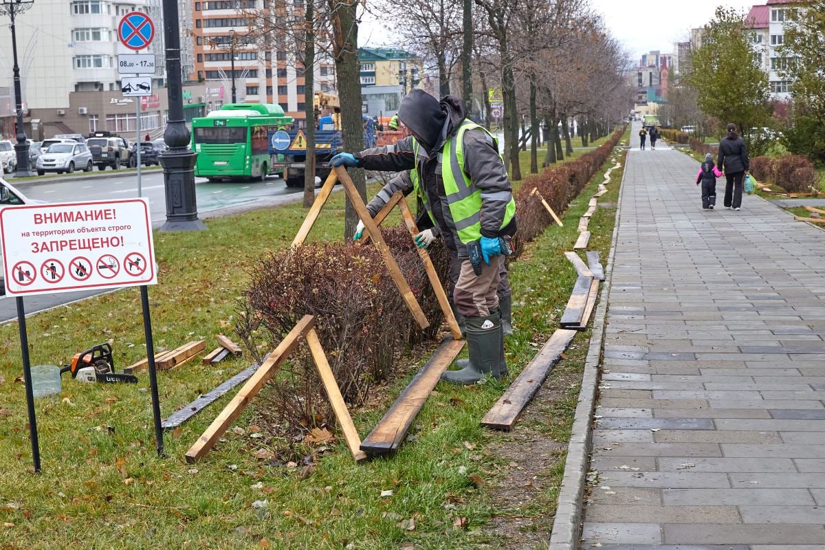 Южно-Сахалинск готовится к весне: кустарники уже укрыли и высадили 80 000 луковиц тюльпанов