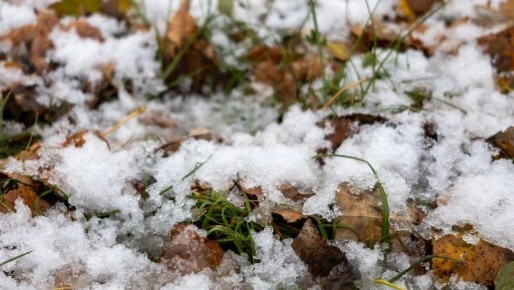 Мороз на Сахалине и снегопад на Курилах