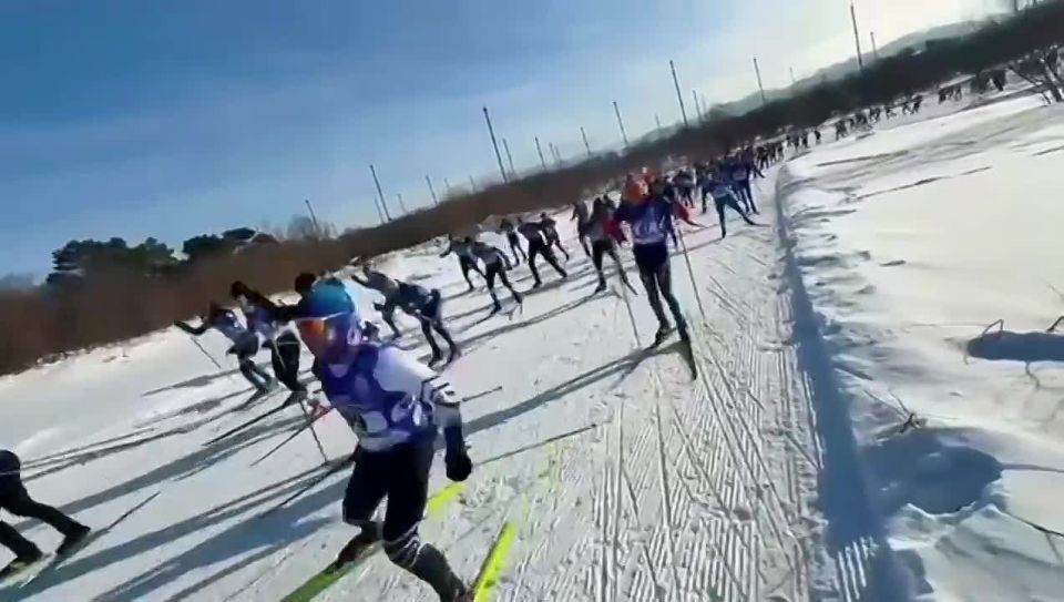 Открыта регистрация на XXXIII Троицкий лыжный марафон 2026