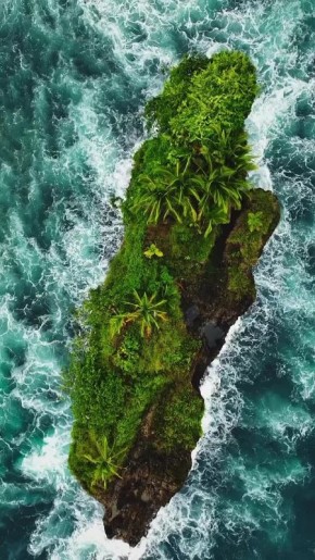 Доброе утро!. Сегодня День самбо в России В этот день родились музыканты Игорь Корнелюк (1962) и Александр Малинин (1958)