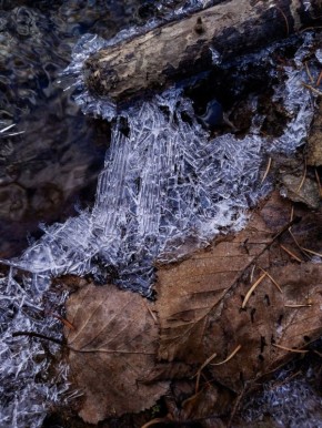 Ледяные кружева и водные кристаллы Сахалина в объективе @les_sakh