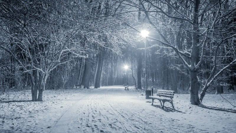 Сильные осадки и ветер прогнозируются на территории Сахалинской области