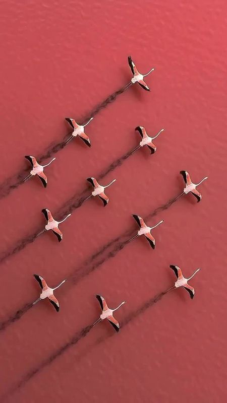 Доброе утро!. Сегодня День участковых уполномоченных полиции в России В этот день родились актеры Софи Марсо (1966) и Дэнни Де Вито (1944)