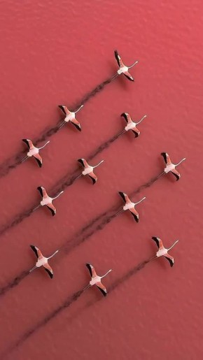 Доброе утро!. Сегодня День участковых уполномоченных полиции в России В этот день родились актеры Софи Марсо (1966) и Дэнни Де Вито (1944)