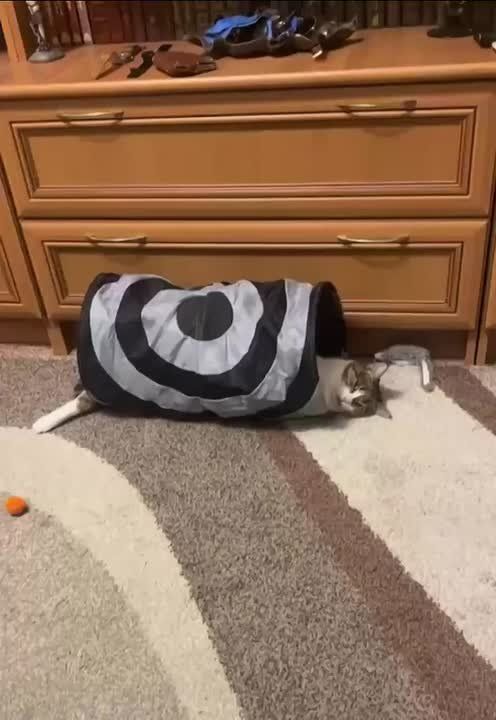 Доброе утро. 17 ноября в Ерёмов день наши предки сидели по домам, опасаясь нечистой силы