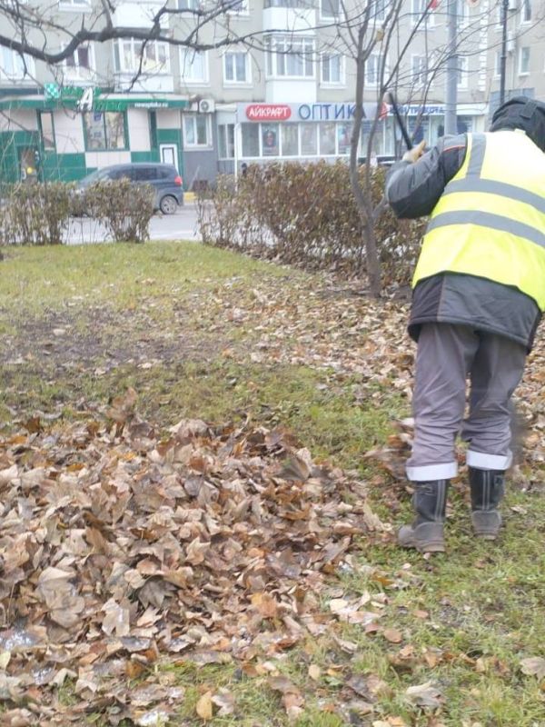 Южный готовятся к зиме. Пока природа засыпает, наши коммунальные службы работают на опережение: от уборки листвы и мусора, связывания кустарников на зиму до посадки тюльпанов, которые порадуют нас весной