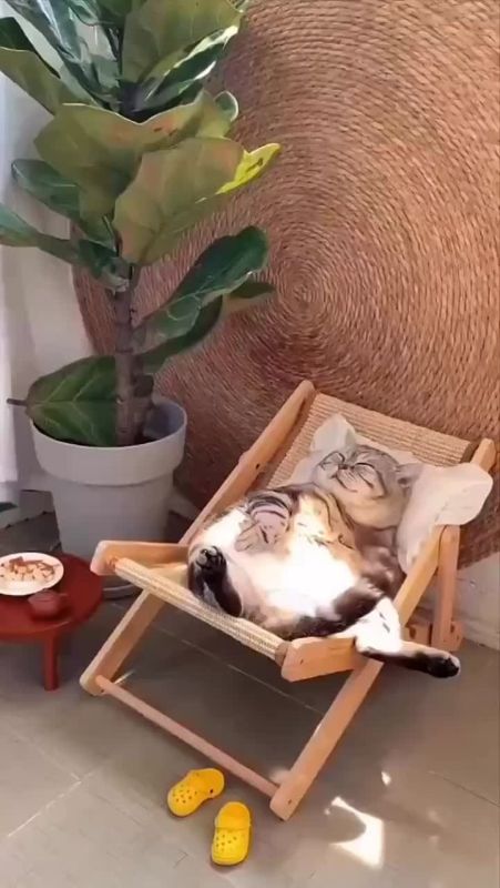 Доброе утро. 18 ноября, в Галактионов день, славяне привлекали к себе удачу, здоровье и благополучие Для этого проводились обряды, соблюдались приметы