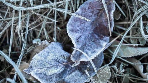 Мороз до -19 °C. Прогноз погоды в Сахалинской области на 19 ноября читайте здесь