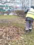 Южный готовятся к зиме. Пока природа засыпает, наши коммунальные службы работают на опережение: от уборки листвы и мусора, связывания кустарников на зиму до посадки тюльпанов, которые порадуют нас весной