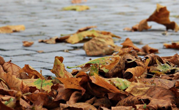 Ветер сменил направление: на юге Сахалина немного потеплеет 19 ноября