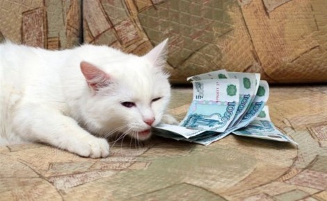 МРОТ повысят до 27 тысяч рублей в 2026 году