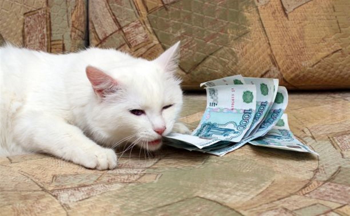 МРОТ повысят до 27 тысяч рублей в 2026 году