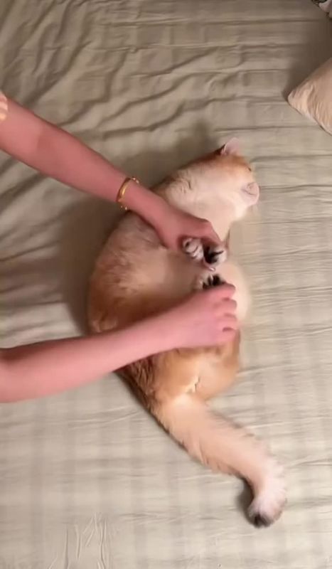 ������ ����. ������� �������� ���� ������ ������� �����