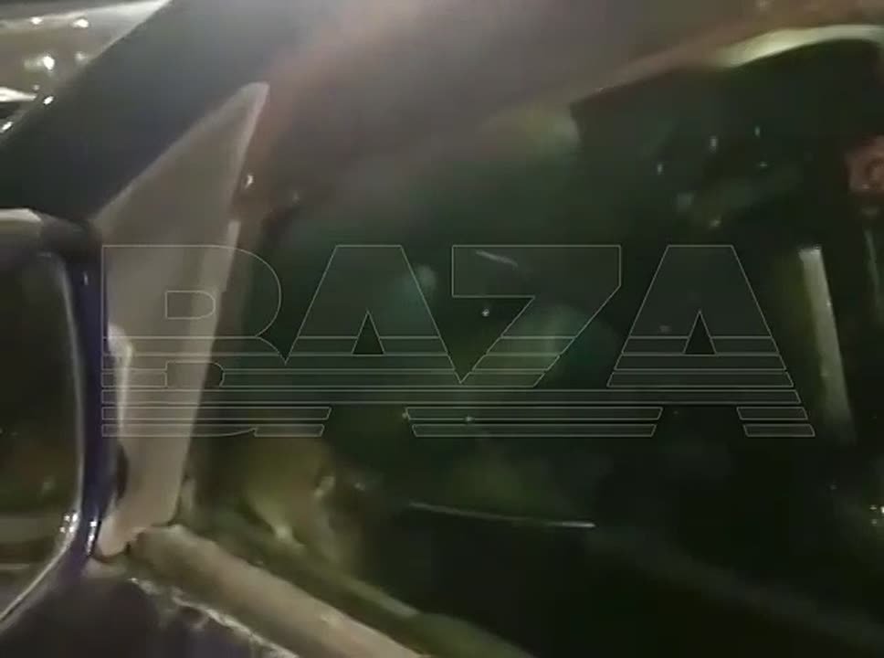 Крысы атаковали тепленькие машины россиян после похолоданий — они грызут днище, сиденья, провода, а некоторые устраивают себе романтический ужин прямо на двигателе