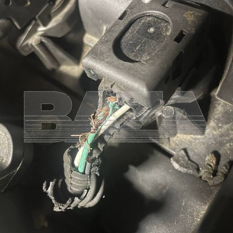 Крысы атаковали тепленькие машины россиян после похолоданий — они грызут днище, сиденья, провода, а некоторые устраивают себе романтический ужин прямо на двигателе Крысы атаковали тепленькие машины россиян после похолоданий — они грызут днище, сиденья, провода, а некоторые устраивают себе романтический ужин прямо на двигателе