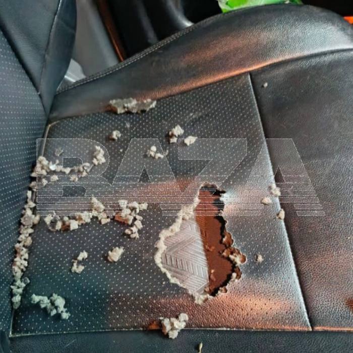 Крысы атаковали тепленькие машины россиян после похолоданий — они грызут днище, сиденья, провода, а некоторые устраивают себе романтический ужин прямо на двигателе Крысы атаковали тепленькие машины россиян после похолоданий — они грызут днище, сиденья, провода, а некоторые устраивают себе романтический ужин прямо на двигателе