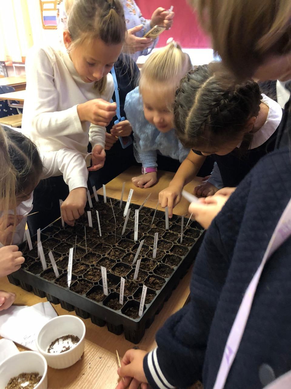 Необычный экологический урок прошел для первоклассников Южно-Сахалинска Необычный экологический урок прошел для первоклассников Южно-Сахалинска