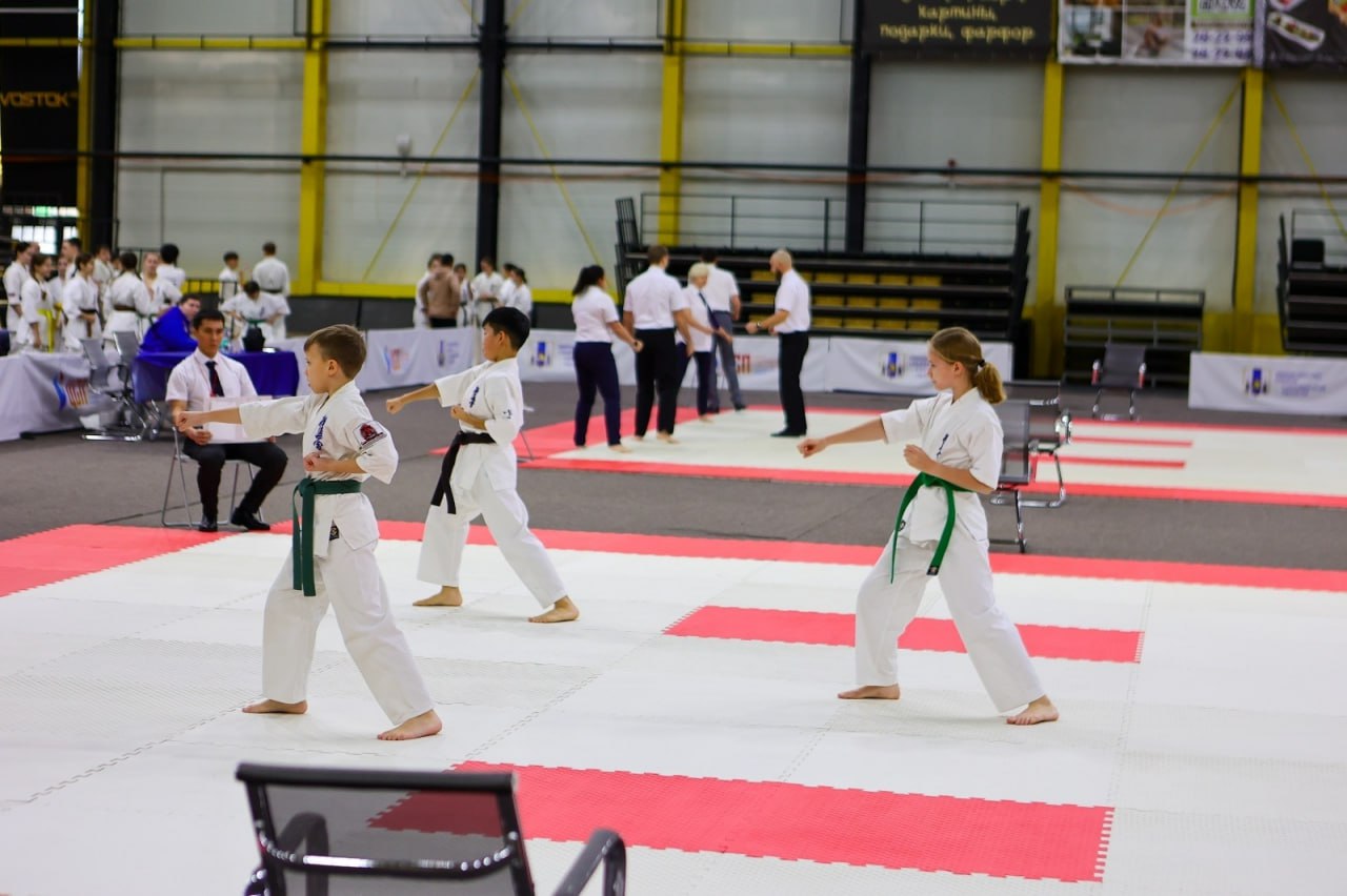 На Сахалине определили победителей областных соревнований по киокусинкай На Сахалине определили победителей областных соревнований по киокусинкай