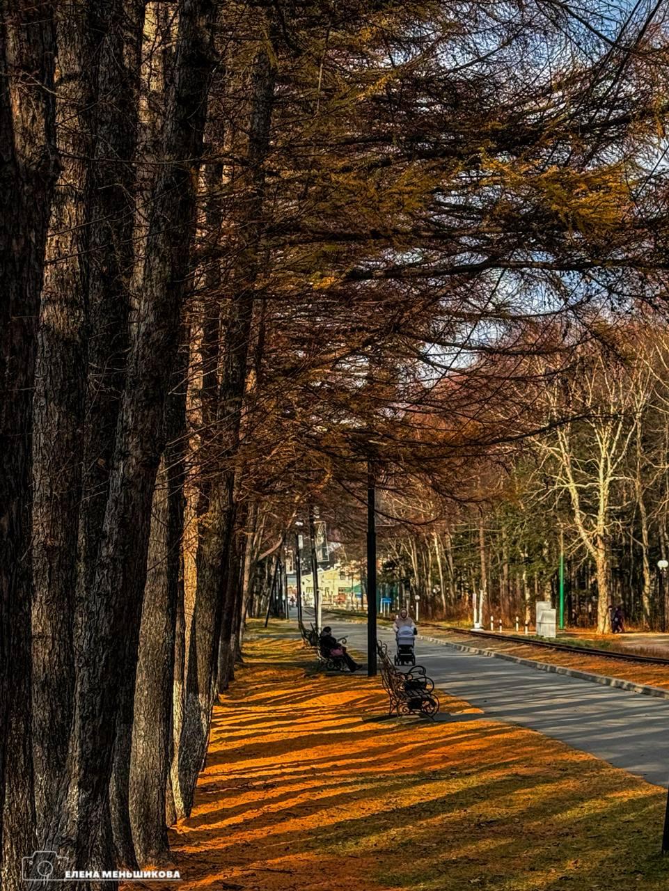 С добрым утром, Южный!. Утро дарит нам осеннюю свежесть – на улице +1. Идеальный день для прогулки в обед или вечером, чтобы насладиться яркими красками уходящей осени С добрым утром, Южный!. Утро дарит нам осеннюю свежесть – на улице +1. Идеальный день для прогулки в обед или вечером, чтобы насладиться яркими красками уходящей осени