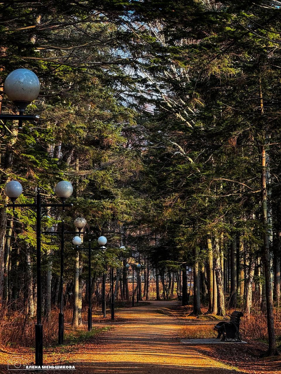 С добрым утром, Южный!. Утро дарит нам осеннюю свежесть – на улице +1. Идеальный день для прогулки в обед или вечером, чтобы насладиться яркими красками уходящей осени С добрым утром, Южный!. Утро дарит нам осеннюю свежесть – на улице +1. Идеальный день для прогулки в обед или вечером, чтобы насладиться яркими красками уходящей осени