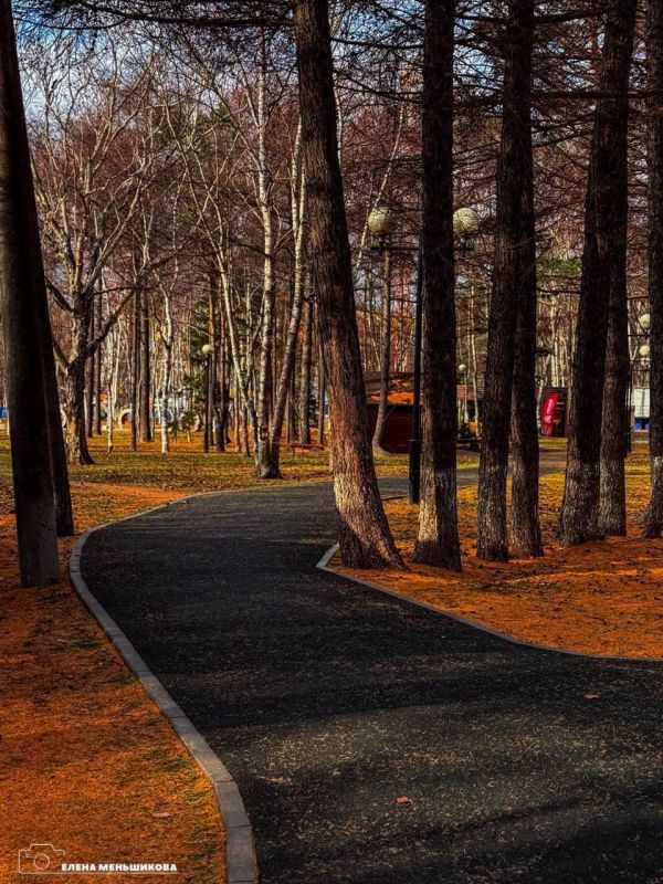 С добрым утром, Южный!. Утро дарит нам осеннюю свежесть – на улице +1. Идеальный день для прогулки в обед или вечером, чтобы насладиться яркими красками уходящей осени