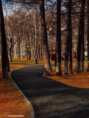 С добрым утром, Южный!. Утро дарит нам осеннюю свежесть – на улице +1. Идеальный день для прогулки в обед или вечером, чтобы насладиться яркими красками уходящей осени