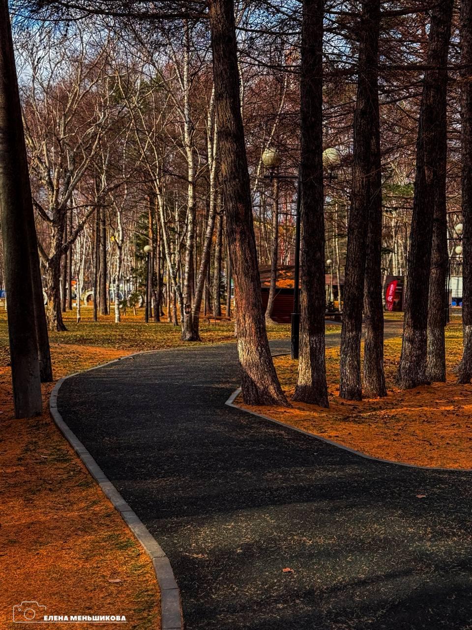 С добрым утром, Южный!. Утро дарит нам осеннюю свежесть – на улице +1. Идеальный день для прогулки в обед или вечером, чтобы насладиться яркими красками уходящей осени