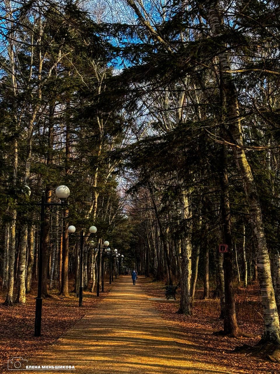 С добрым утром, Южный!. Утро дарит нам осеннюю свежесть – на улице +1. Идеальный день для прогулки в обед или вечером, чтобы насладиться яркими красками уходящей осени С добрым утром, Южный!. Утро дарит нам осеннюю свежесть – на улице +1. Идеальный день для прогулки в обед или вечером, чтобы насладиться яркими красками уходящей осени