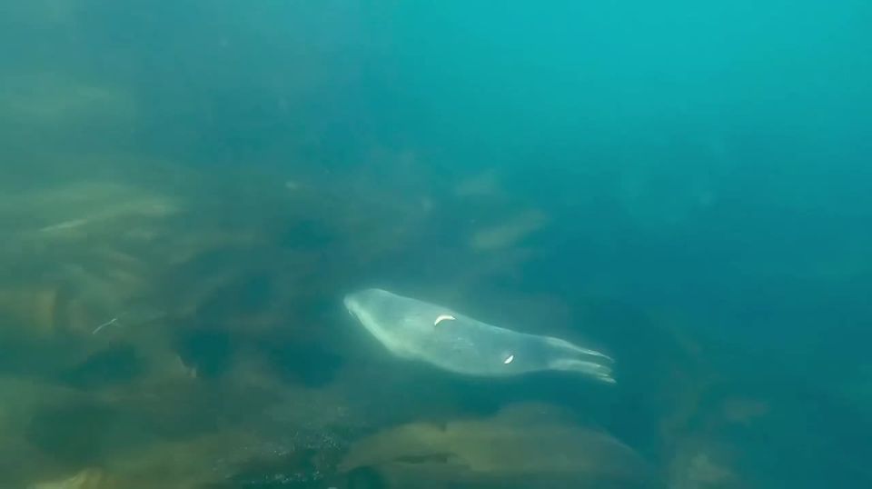 ������ �� �������� ������� ���������� ���� � ������