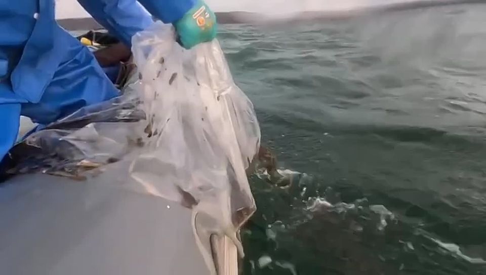 ����� 700 ����� ������ �������� ��������� � ����� �����