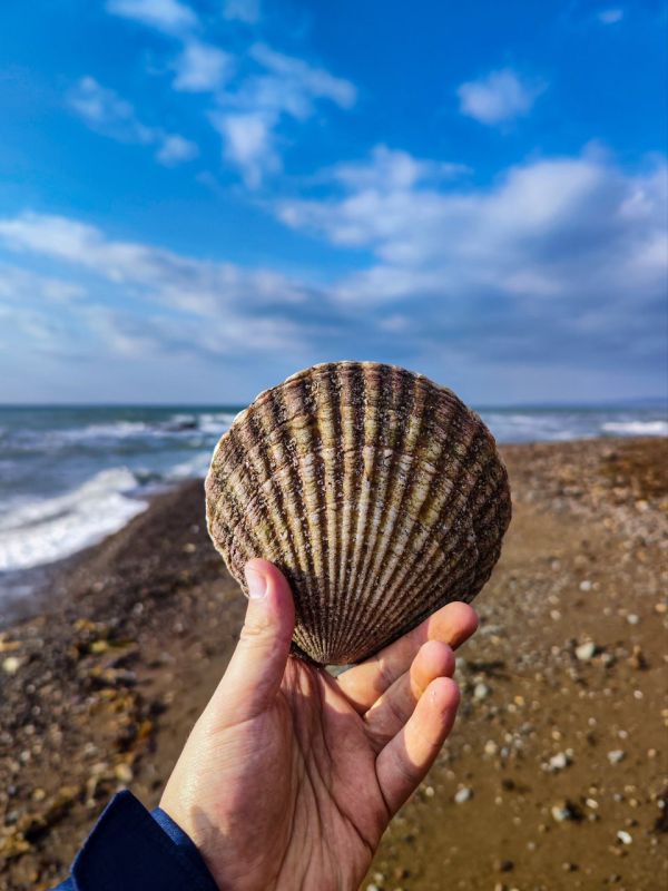 ����������� ������� �� ���� �� ������