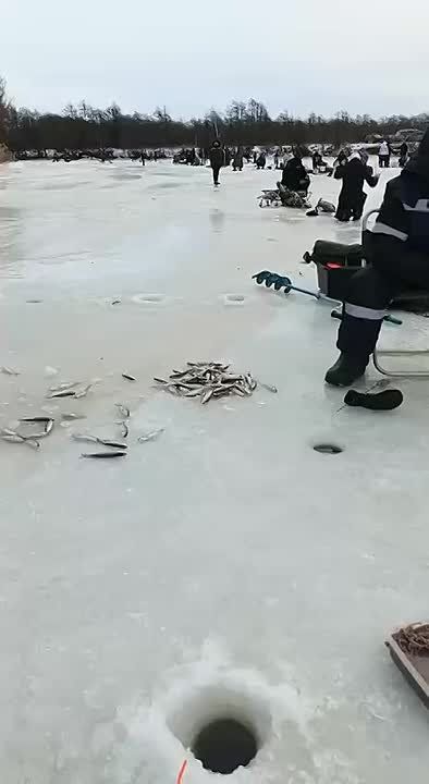 Сахалинцы традиционно провели воскресенье с удочками