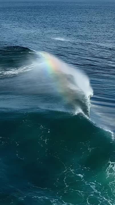 ������ ����!. ������� ���� ����� � ������ � ���� ���� �������� ���������� ��������� ������� (1730 �1800), ������� ������� ����������� (1938 � 2016), ���������� ������� ������ (1934 � 1998), ����������� ���������...