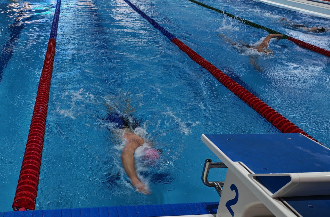 На Сахалине стартовал новый сезон плавательного марафона На Сахалине стартовал новый сезон плавательного марафона