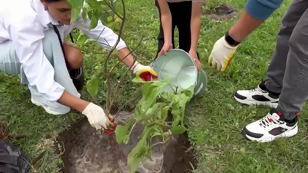 Сергей Надсадин: Бюджет Южно-Сахалинска на 2026 год и ближайшие три года останется социально ориентированным