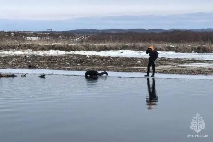 Более 100 человек ведут поиски 9-летнего мальчика в Томаринском районе