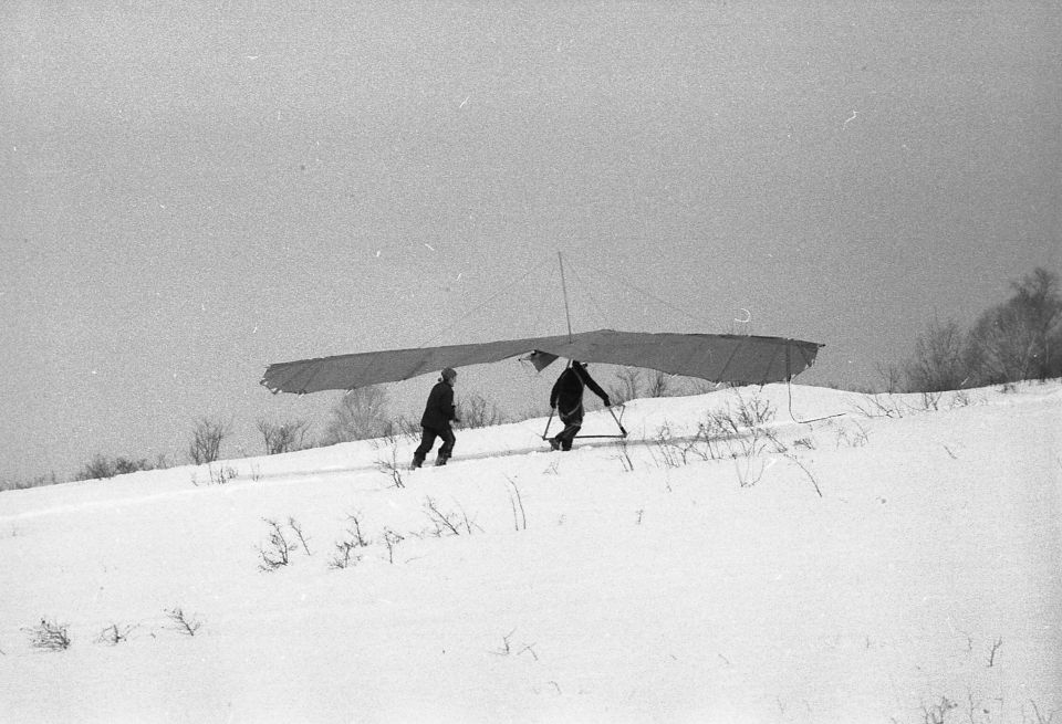   ,  .         20  1988   -      -1