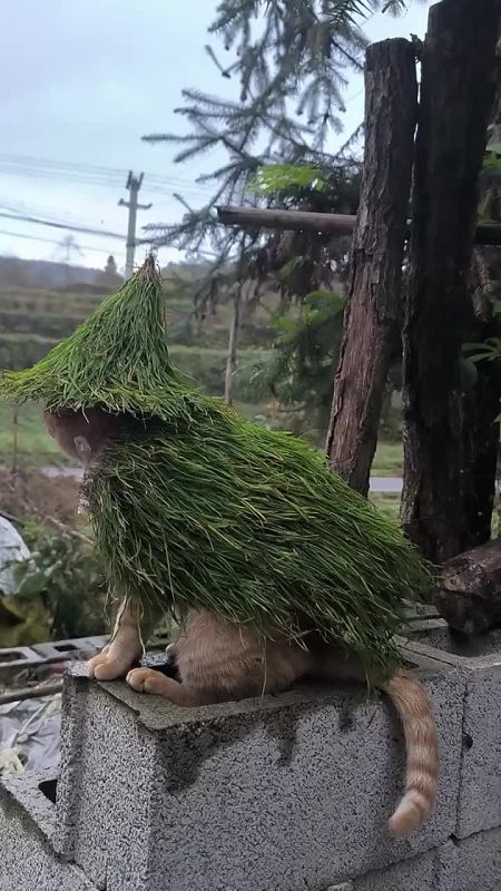 Доброе утро. 26 ноября на Руси отмечали праздник Иоанна Златоуста – одного из самых почитаемых святых