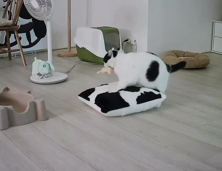 Доброе утро. Также в нашей стране сегодня отмечают День оценщика