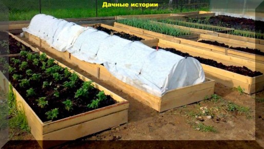 Высокие грядки: секреты урожайного огорода с минимальными затратами