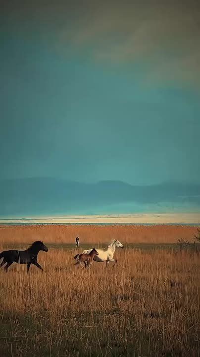 Доброе утро!. Сегодня Всемирный день отказа от покупок В этот день родились философ Фридрих Энгельс (1820 — 1895) и поэт Александр Александрович Блок (1880 — 1921)