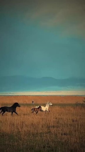  !.              (1820  1895)      (1880  1921)