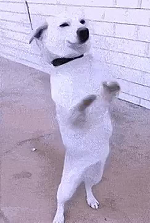 ����� ����!. ����� �� ������? ����� ���� ���������� ������