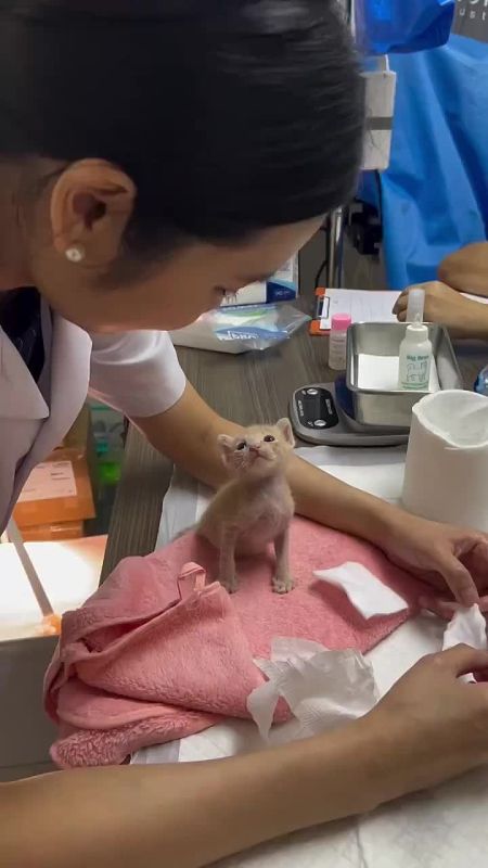 ������ ����. ������� ������ 6 ��� �� ��� ����������� ������� �������������� �������� � ������ �����